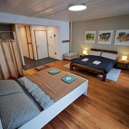 Guest house Loftwohnung Direkt Am Thuner Rathausplatz